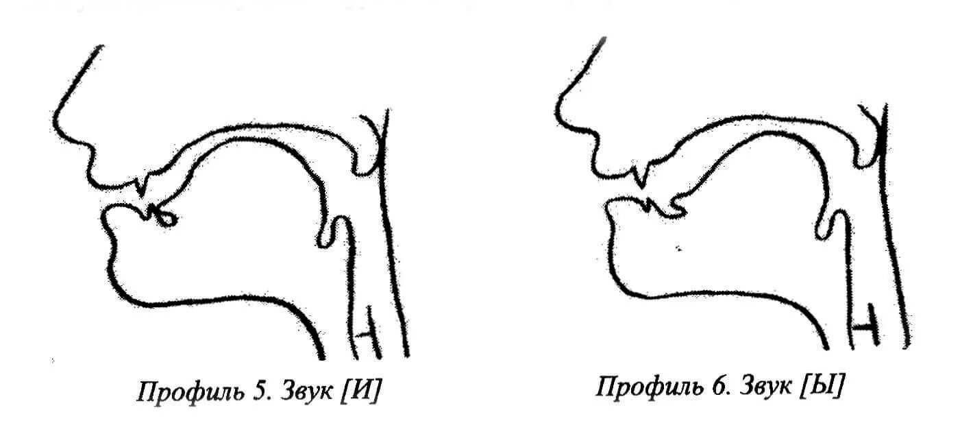 Артикуляция произношения звука и. Артикуляционный уклад гласных звуков. Артикуляционный уклад звука э. Профиль звука с. Артикуляционный профиль звука ы.