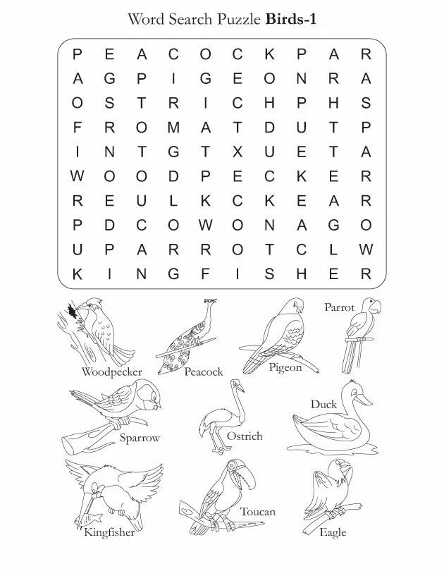 Birds задание. Птицы на английском задание. Задания по английскому тема птицы. Птицы на английском языке для детей задания. Nbws в английском языке задание для детей.