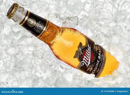 Пиво Миллер Где Купить (95 фотографий) .