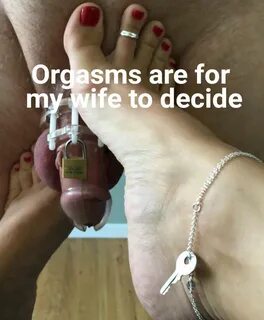 GTAHotwife 🇨 🇦 on Twitter: "#chastity #cuckold #hotwife https://t.co...