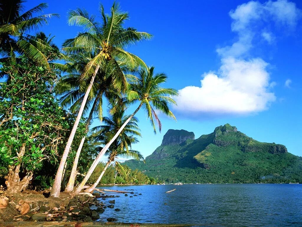 Гавайи рай на земле. Экзотические острова. Необитаемый остров Пальма. Необитаемые острова. Читать про остров