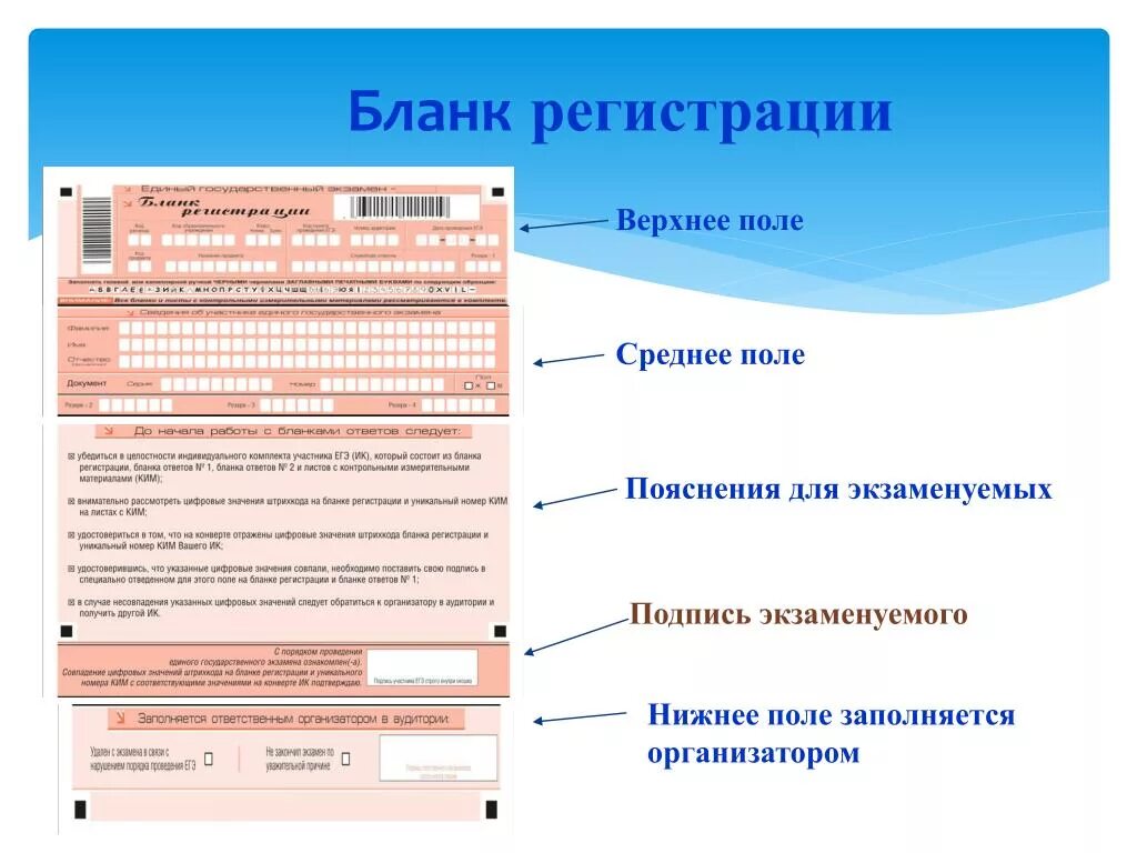 Печать бланков регистрации в аудитории. Бланк регистрации. Заполнение бланков полей регистрации ЕГЭ. Заполнение Бланка регистрации ЕГЭ организатором. Организаторам в аудитории заполнение бланков регистрации.