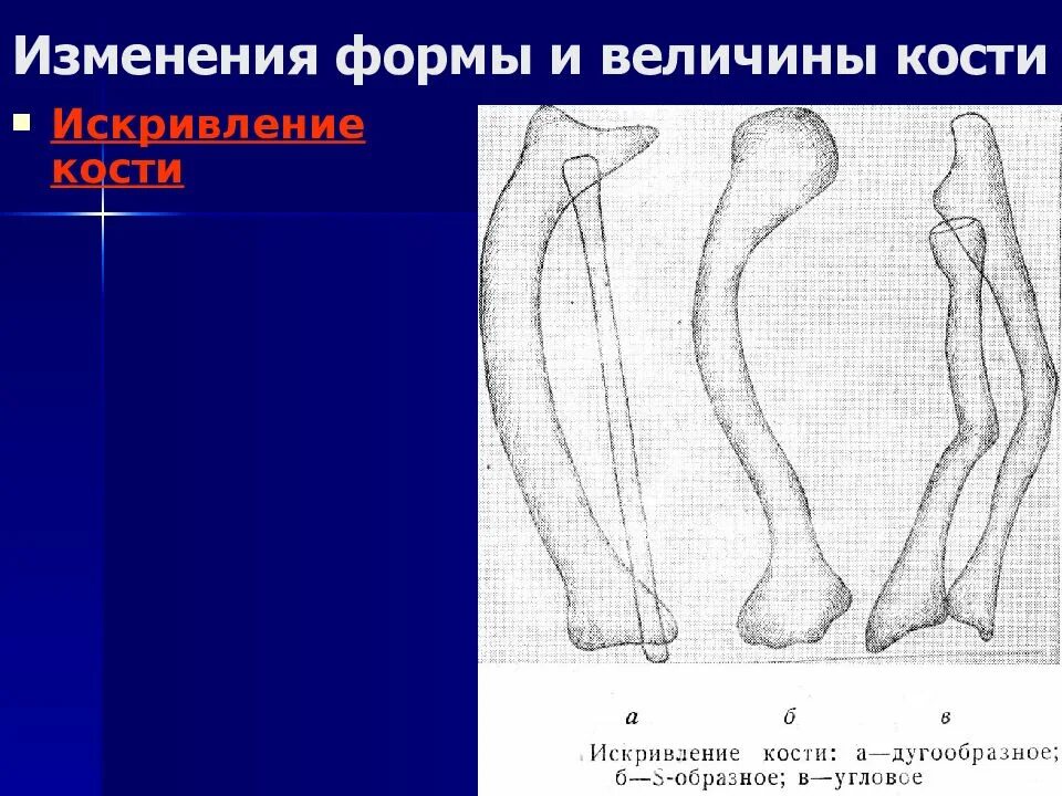 Изменение формы изображения. Изменение формы изображения