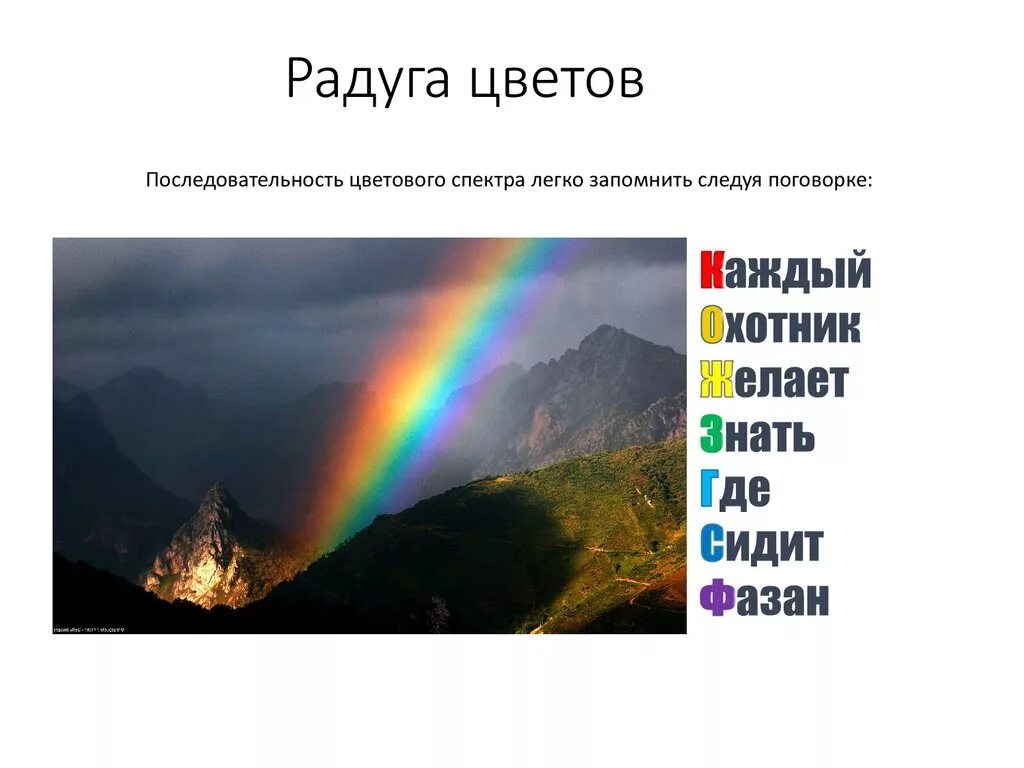 Порядки цветные