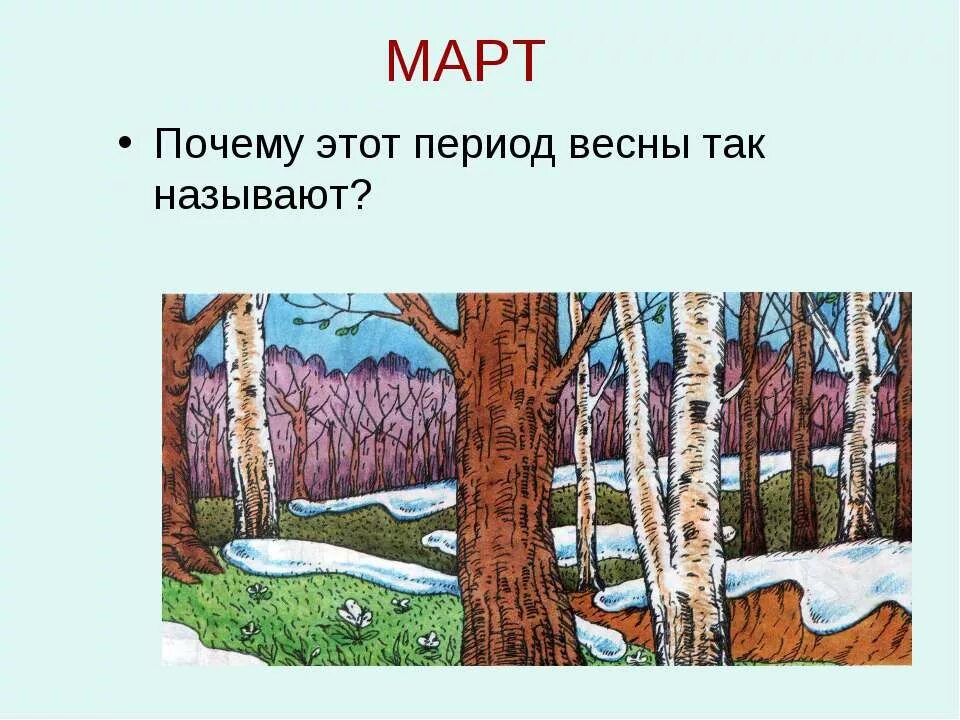 Периоды весны. Три периода весны. Март презентация. Проект в гости к весне 2 класс окружающий мир.