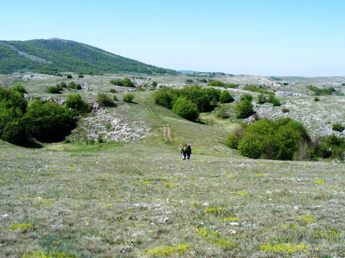 Погода цветочное крым белогорский. Горный Карст Крыма Крым. Плато Караби яйла. Караби яйла Белогорск. Заказник Караби яйла Крым.