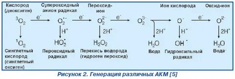 Радикал пероксида водорода