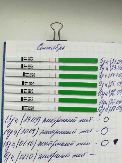 3 дня после овуляции можно забеременеть. Тест на овуляцию. Возможна ли беременность после овуляции. Тест на беременность после поздней овуляции. Тест на беременность день цикла.