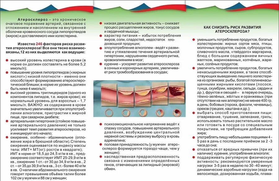 Метаболический синдром и атеросклероз. Кровеносные сосуды с бляшками. Уровень общего холестерина повышение. Ожирение повышенный холестерин. Ожирение повышенный холестерин.