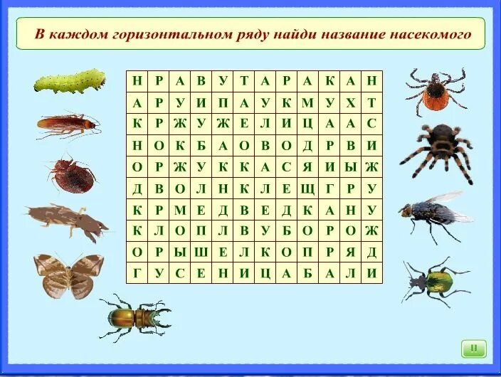 Найди слова животный ответы. Насекомые задания для детей. Кроссворд насекомые. Насекомые задания для дошкольников. Кроссворд на тему насекомые.