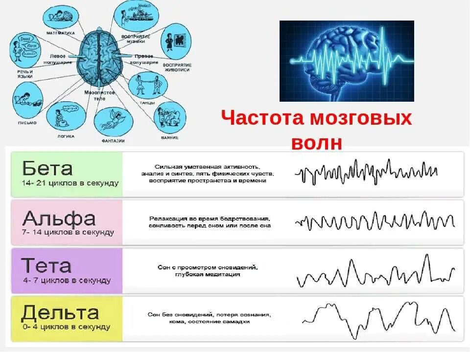 Альфа бета капитал. Волны мозга альфа бета тета. альфа бета гамма волны в мозге. состояния мозга альфа бета дельта тета. волны бета альфа тета частоты.