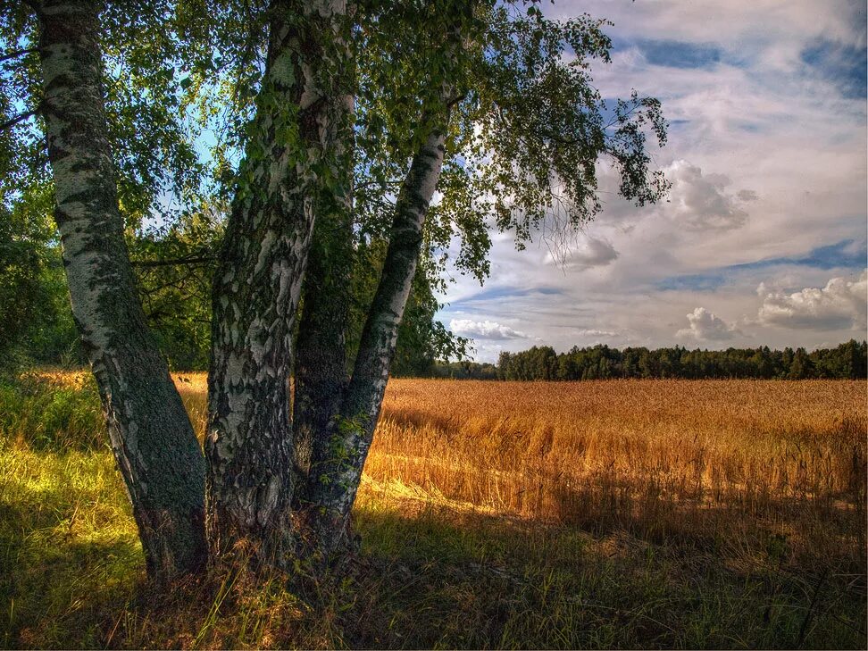 Родной край. Природа родного края. Природа нашей Родины. Родные края. Бывай родной край