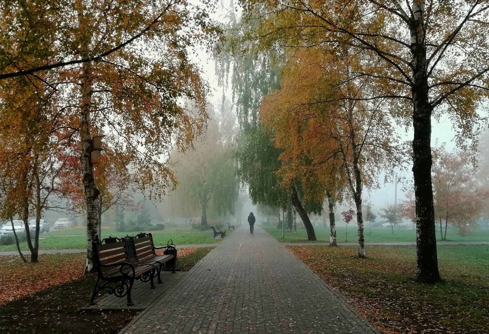 Осенний б р