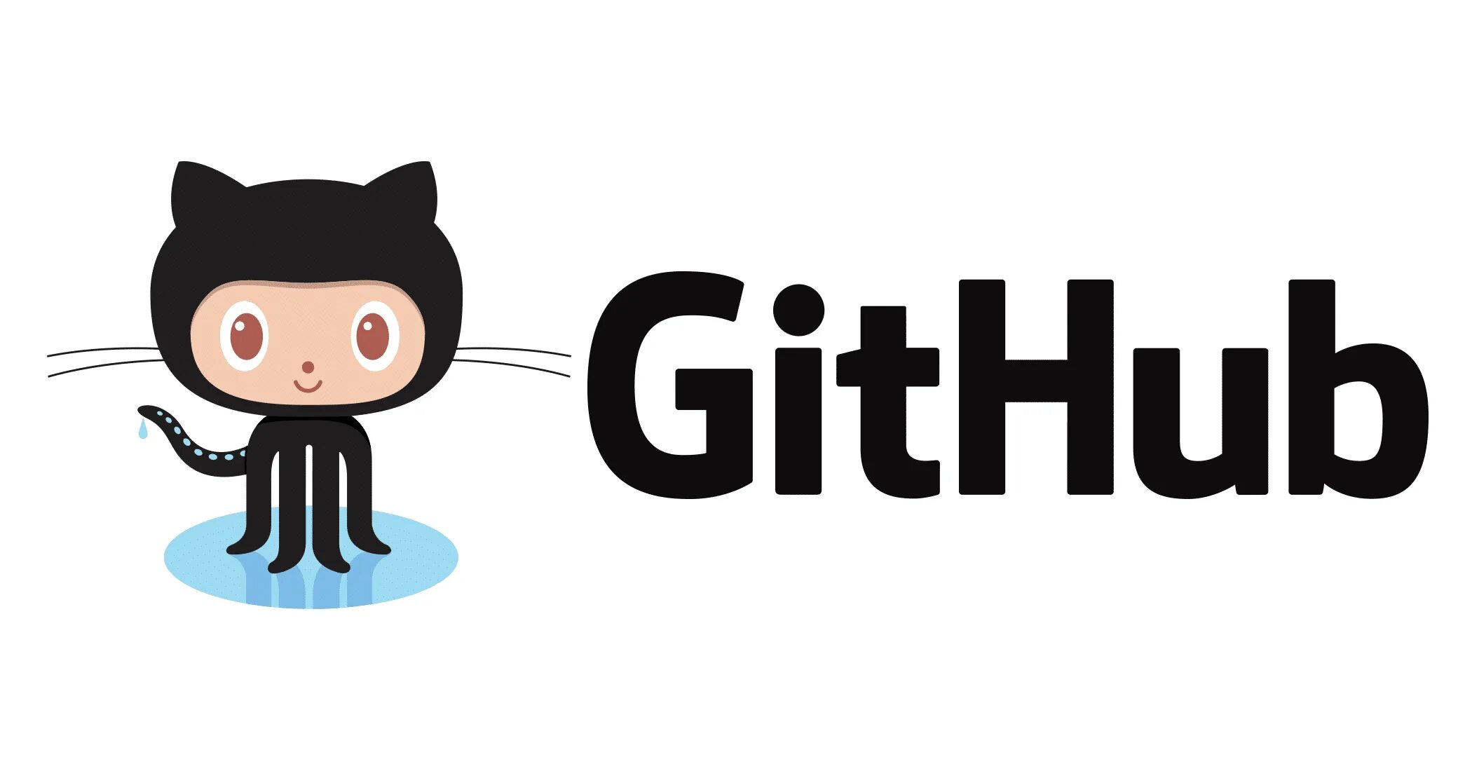 Github store. Github store
