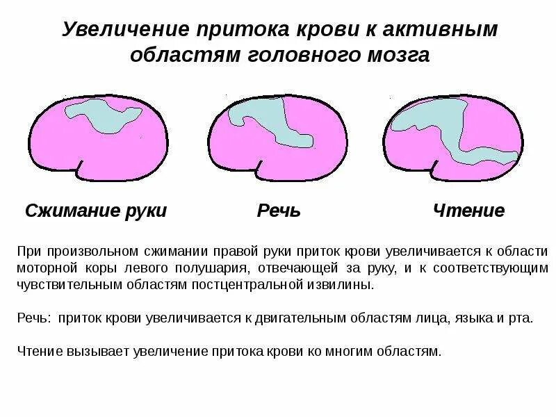 Как увеличить приток крови