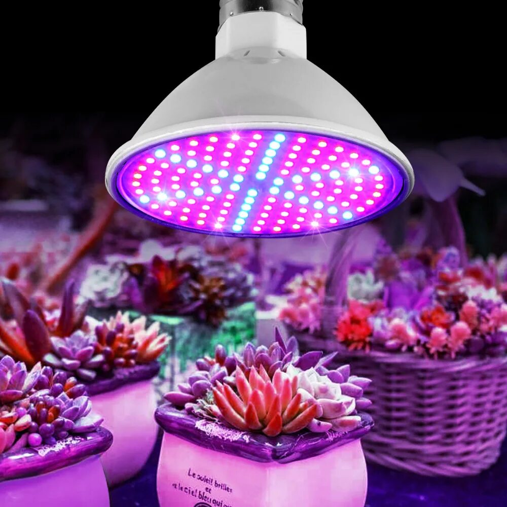 Фитолампа led grow Light. Фитолампа для растений gu5.3. Светодиодная лампа для растений ALIEXPRESS led grow Light. Фитолампа bulbo.