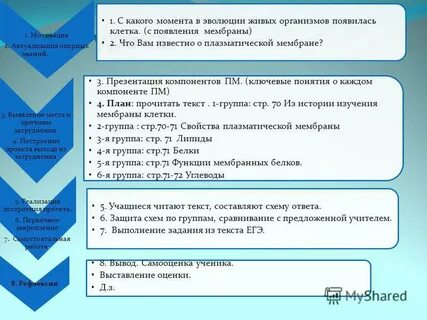 Презентация белки 10 класс биология профильный уровень