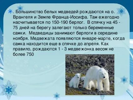 Масса медвежонка 15 массы белого