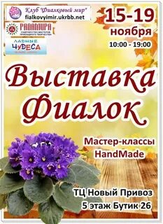 Выставки фиалок в москве в 2024 году