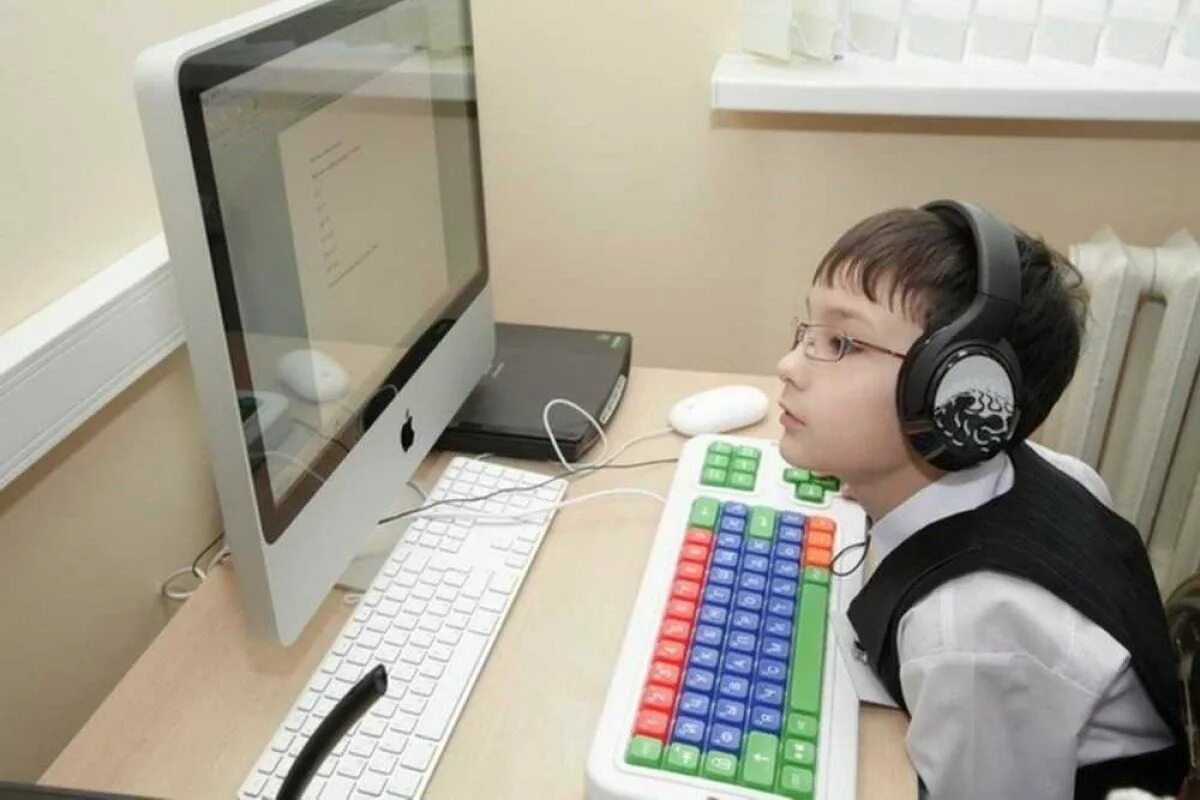 Дистанционное обучение детей инвалидов. Компьютер для детей. Компьютеры для детей с ОВЗ. Компьютеры для детей инвалидов. Дистанционное образование у инвалидов детей.