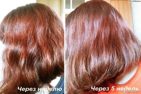 Эстель 7 4 на волосах