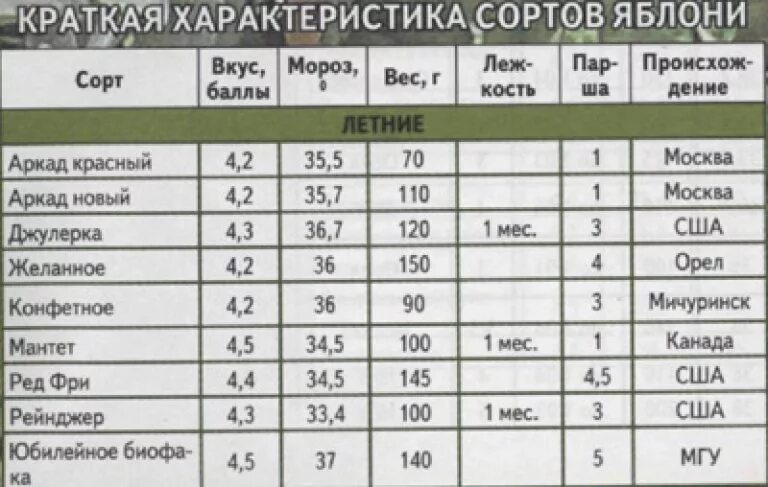 Сроки созревания яблони. Сорта груш таблица. Дегустационная оценка яблок. Сорта яблок таблица. Сравнительная характеристика сортов яблок.