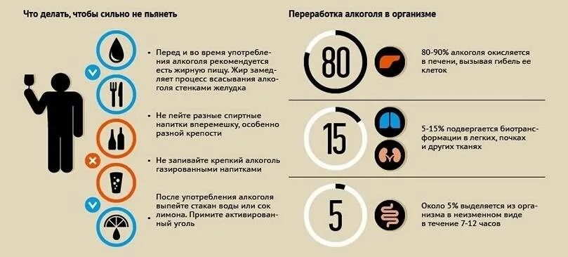 Что пить перед пьянкой