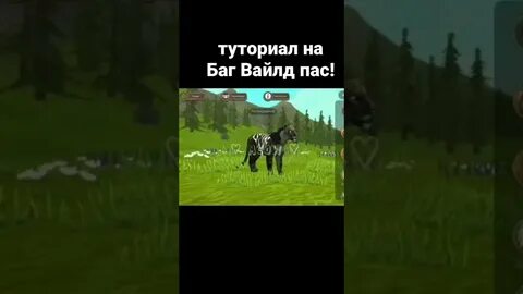 Бесплатный пас