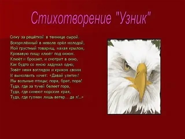 Орел в неволе стих. Сижу за решеткой в темнице сырой. Сижу в темнице сырой вскормленный в неволе. Вскормлённый в неволе орёл молодой стих. Стихотворение сижу за решеткой в темнице сырой.