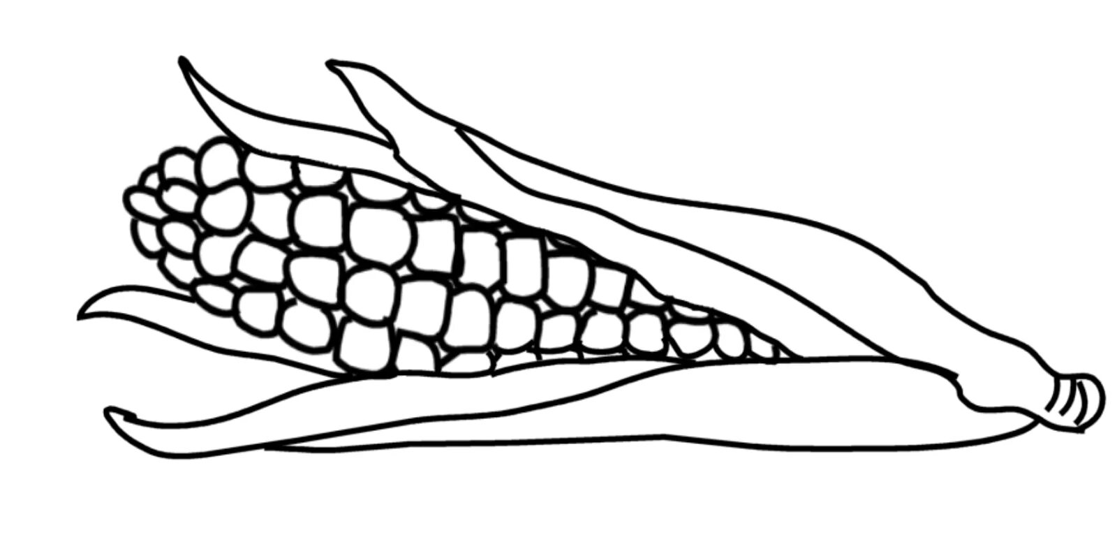 Кукуруза раскраска. Кукуруза раскраска для детей. Кукуруза трафарет. Раскраска овощи кукуруза. Corn kidz