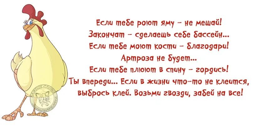 Если тебе роют яму. Если тебе роют яму не мешай закончат сделаешь себе бассейн. Если тебе роют яму не мешай. Если плюют в спину. Сделай доделай