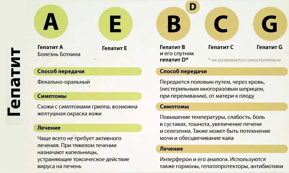 Виды гепатита. Виды вирусных гепатитов.