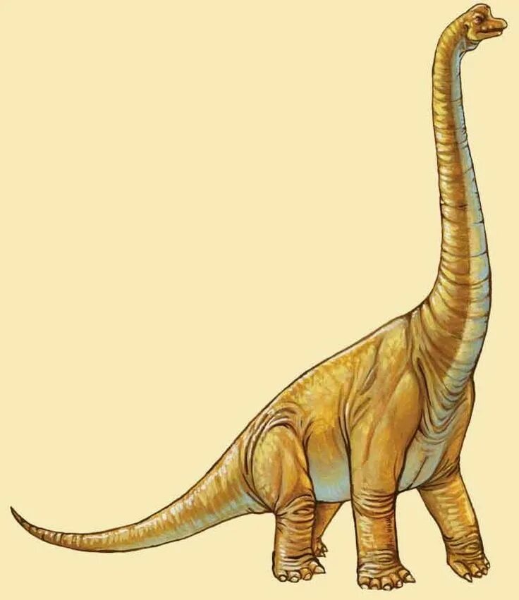 Длинношеий динозавр. Зауропод и Диплодок. Диплодок Диплодок. Травоядные динозавры Диплодок. Травоядные динозавры Брахиозавр.