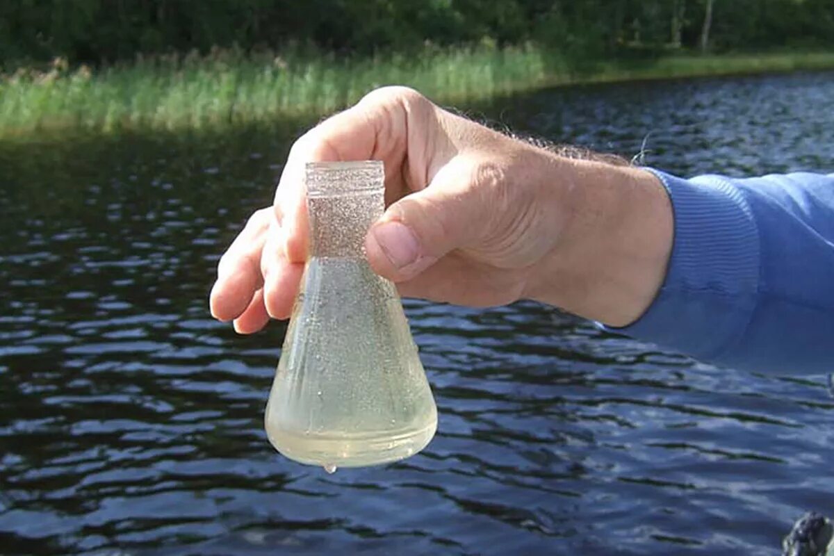 В исследованной воде из местного болота. Пробы воды. Качество воды. Пробы воды в реке. Отбор проб воды.