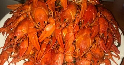 Раки дона