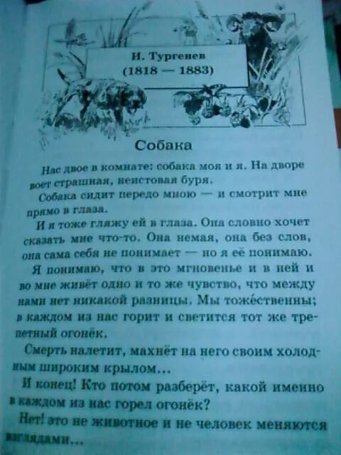 Рассказы о животных 4 класс внеклассное. Рассказы о животных 3 класс внеклассное. внеклассное чтение. рассказы о животных. рассказы о животных 3 класс внеклассное чтение. рассказы о животных 2 класс внеклассное чтение.