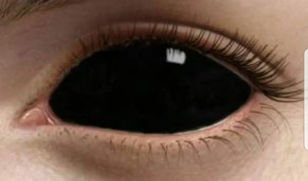 Черный цвет глаз. Карий цвет глаз. Глаза стали черные почему. Линзы склеры черные. Черный цвет глаз.