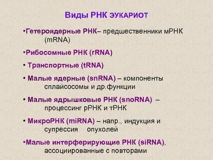 Малые рнк