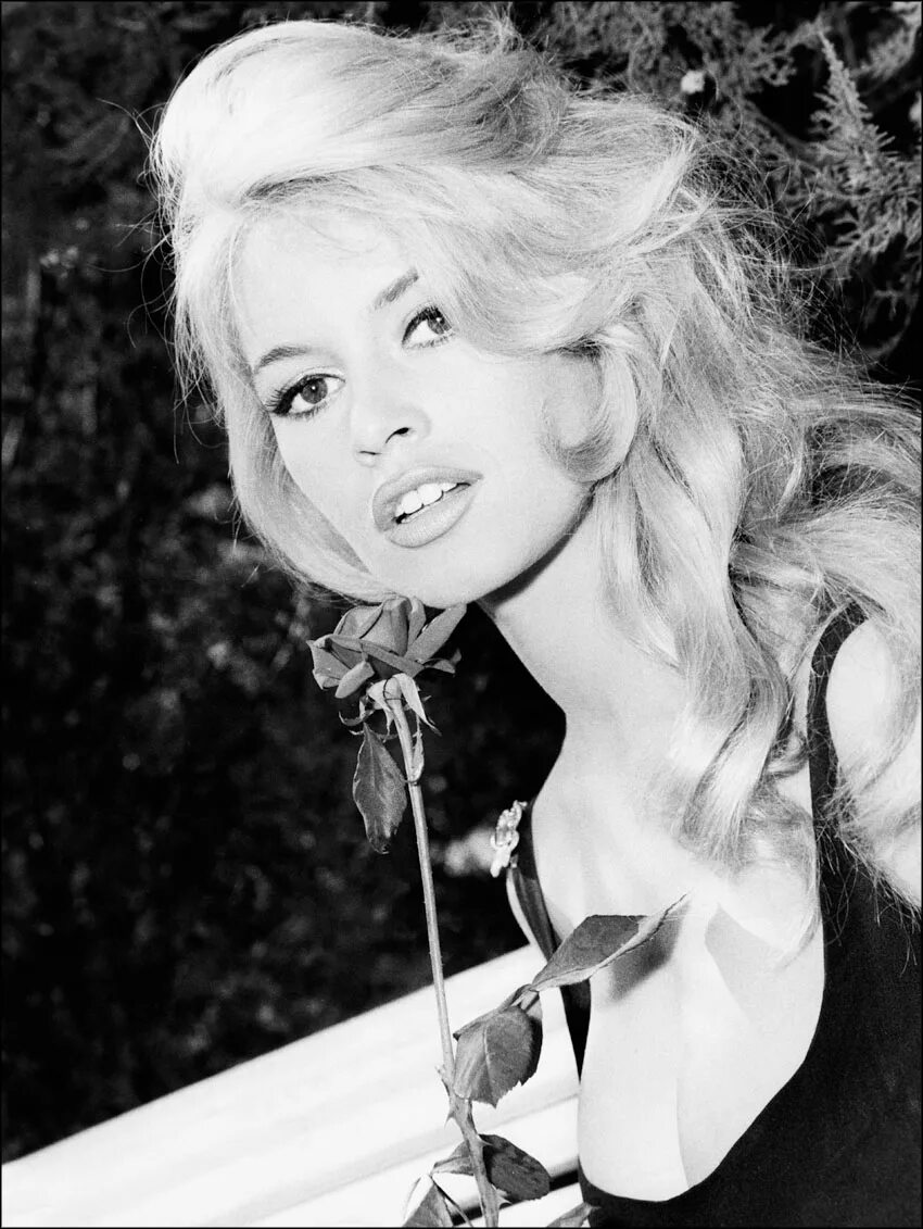 бриджит бардо бабетта. бриджит бардо. брижит анн-мари бардо. бордо бриджит. бриджит бардо.