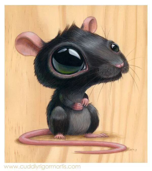 Глазки мыши. Мышь арт. Мышь с большими глазами. Мышонок с большими глазами. Крыса арт.