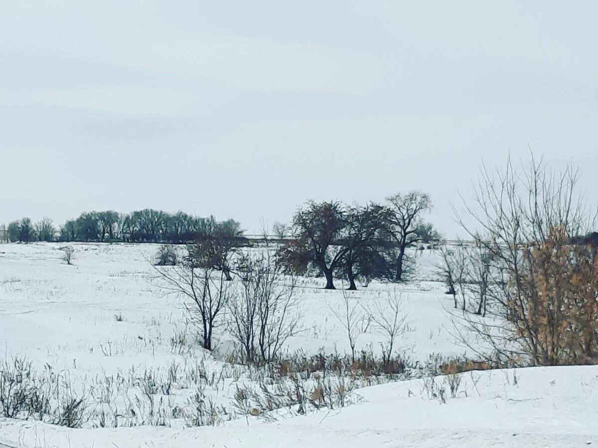 Деревня врагово вологодская область. Погода врагове. Погода врагове. Погода врагове. Погода врагове.