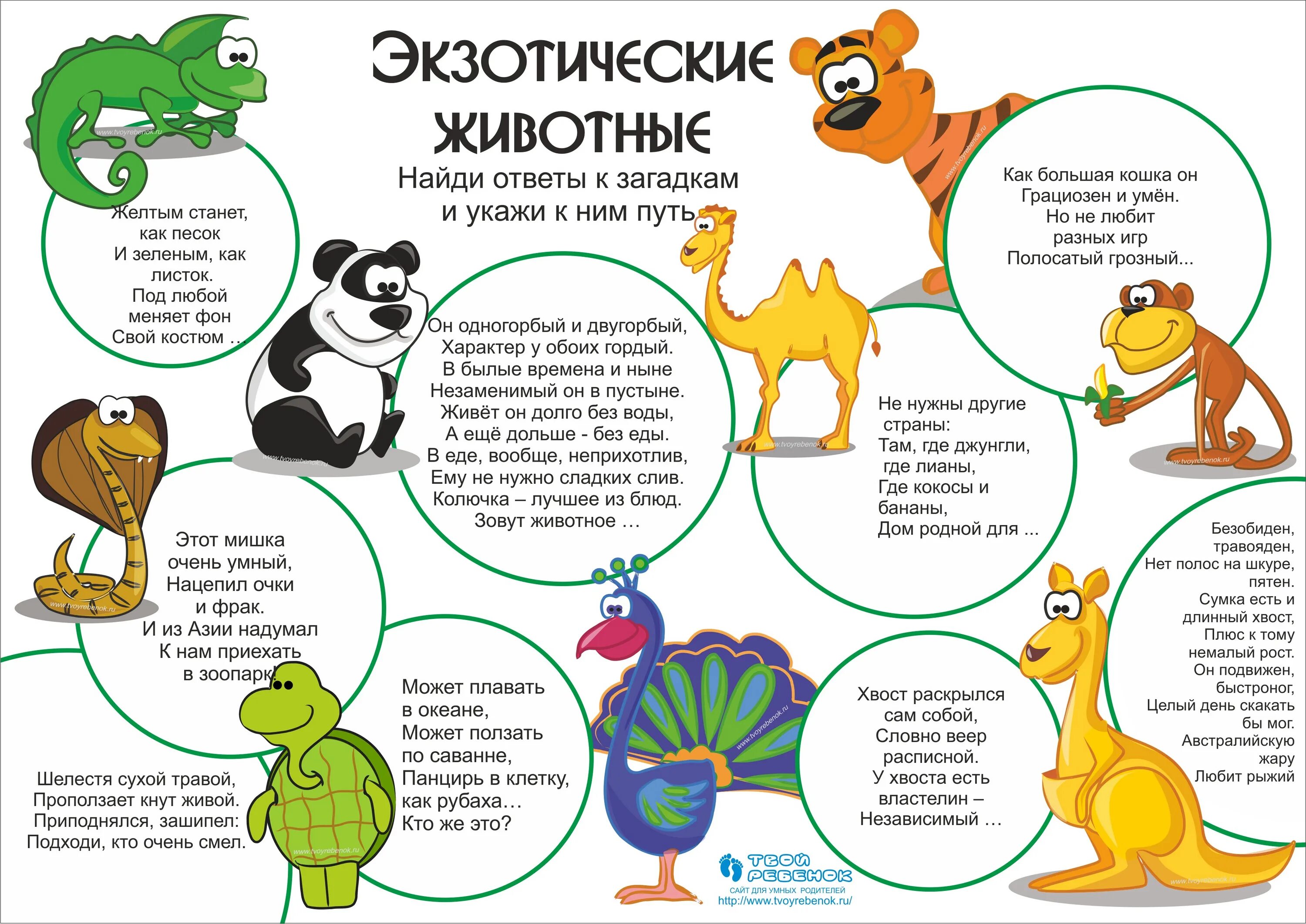 Короткие познавательные. Детские стишки про насекомых. Про космос детям дошкольникам. Космос это интересно для дошкольников. Короткие познавательные.