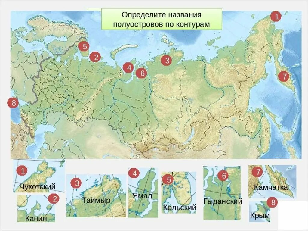 Все острова россии. Полуострова России на карте. Острова и полуострова России на карте. Крупные острова и полуострова России. Полуострова России на карте России.