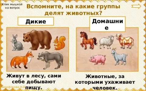 Дикий класс