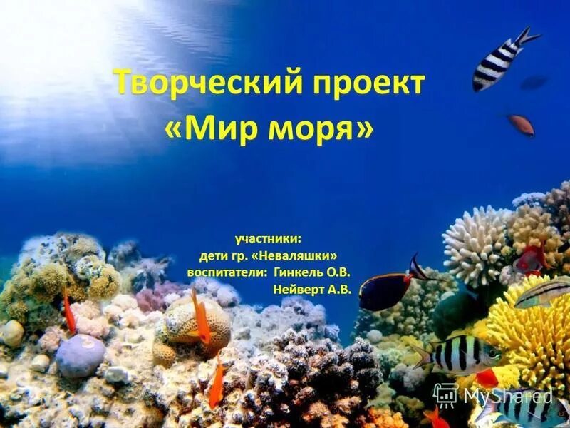 морской мир презентация