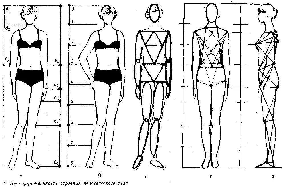 Ширину фигуры. Пропорции тела человека схема. Схема построения фигуры человека. Схематичная фигура человека. Схема пропорций фигуры человека.