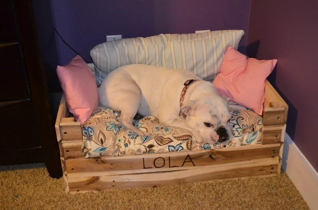 Собачья кровать для человека. Кровать для собаки. Комната для собак. Собачья постель. Место для собаки под кроватью.