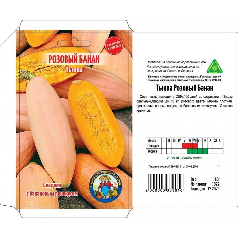 Тыква розовый банан сиб сад. Тыква пинк банана. Гавриш тыква розовый банан. Гавриш тыква розовый банан. Тыква розовый банан семена.