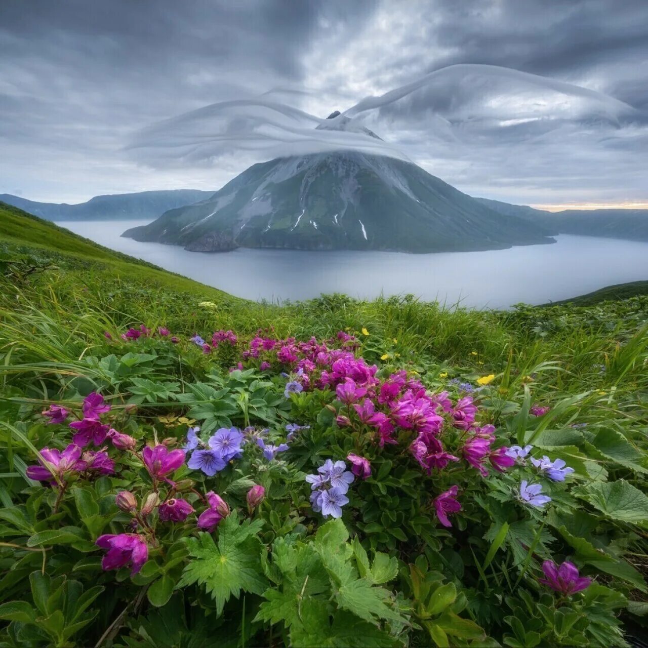 Южно-сахалинск остров. Остров сахалин дальний восток. Сахалин летом. Восточное побережье сахалина. Бухта тихая южно-сахалинск.