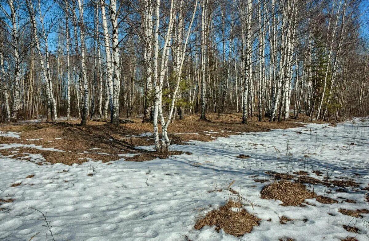 Весенний день.